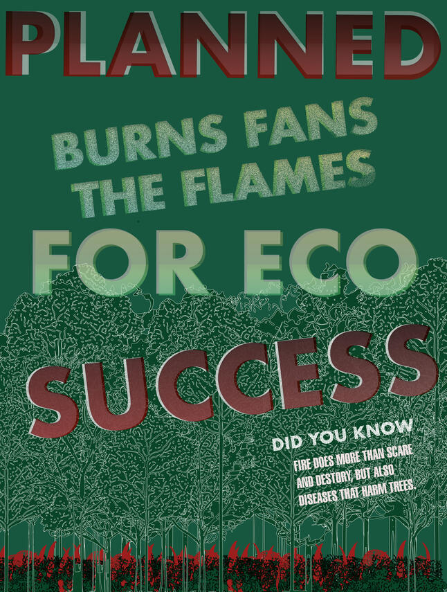 Burn the Flames 2025