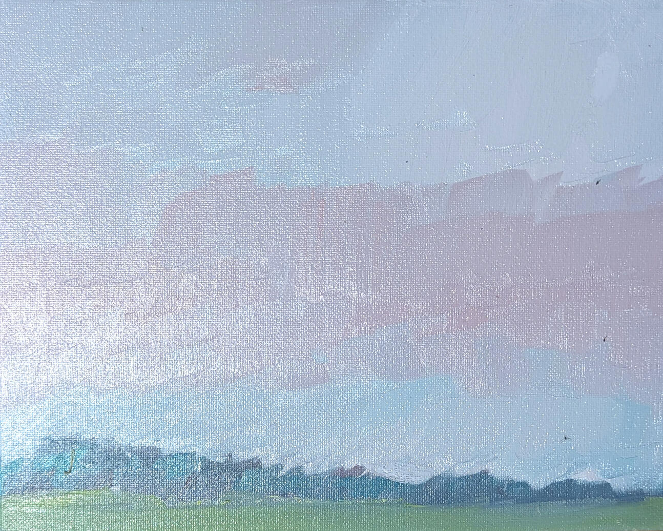 Flying Squirrels 2025